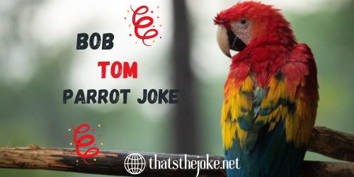 Bob And Tom Parrot Joke